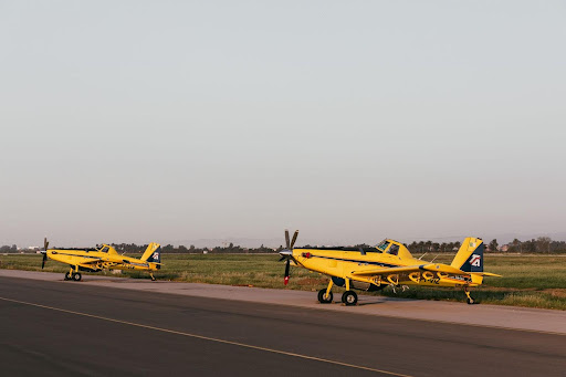 Quel est le rôle stratégique de Tassili Travail Aérien dans la lutte contre les feux de forêts en Algérie ? | Tassili Travail Aérien, SPA | unnamed